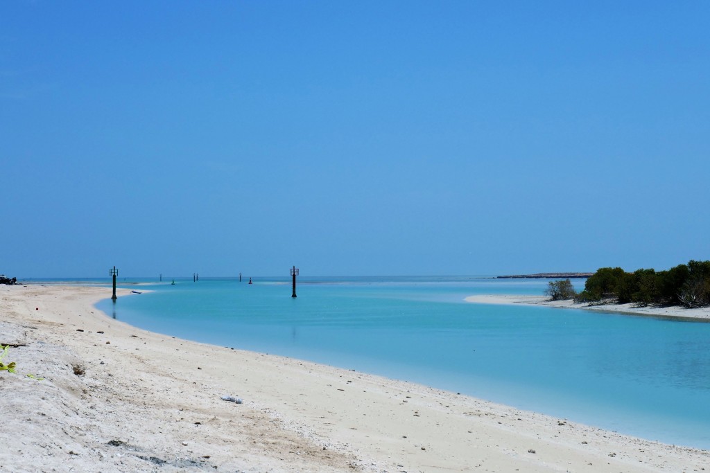 al thakira mangrove doha (2)