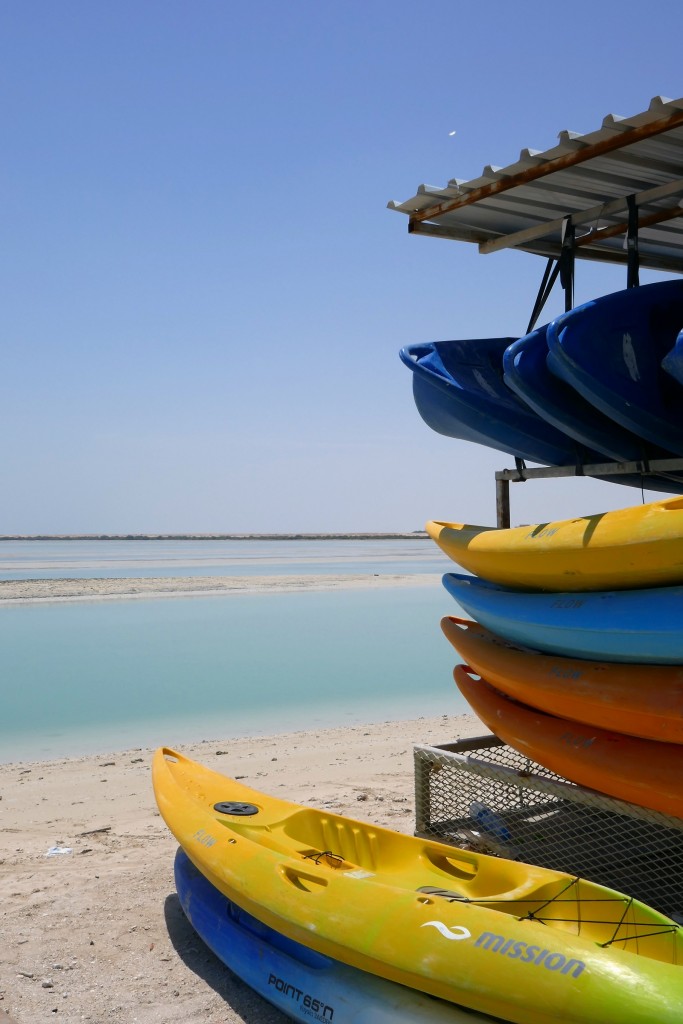 al thakira mangrove doha kayak