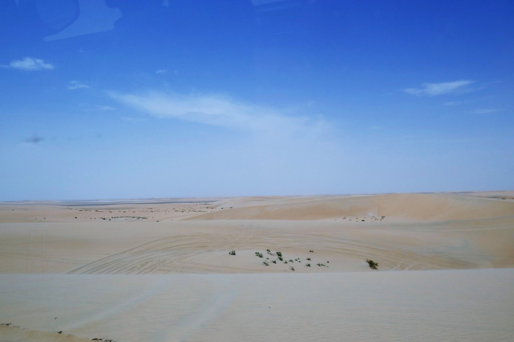 safari 4x4 desert doha (5)