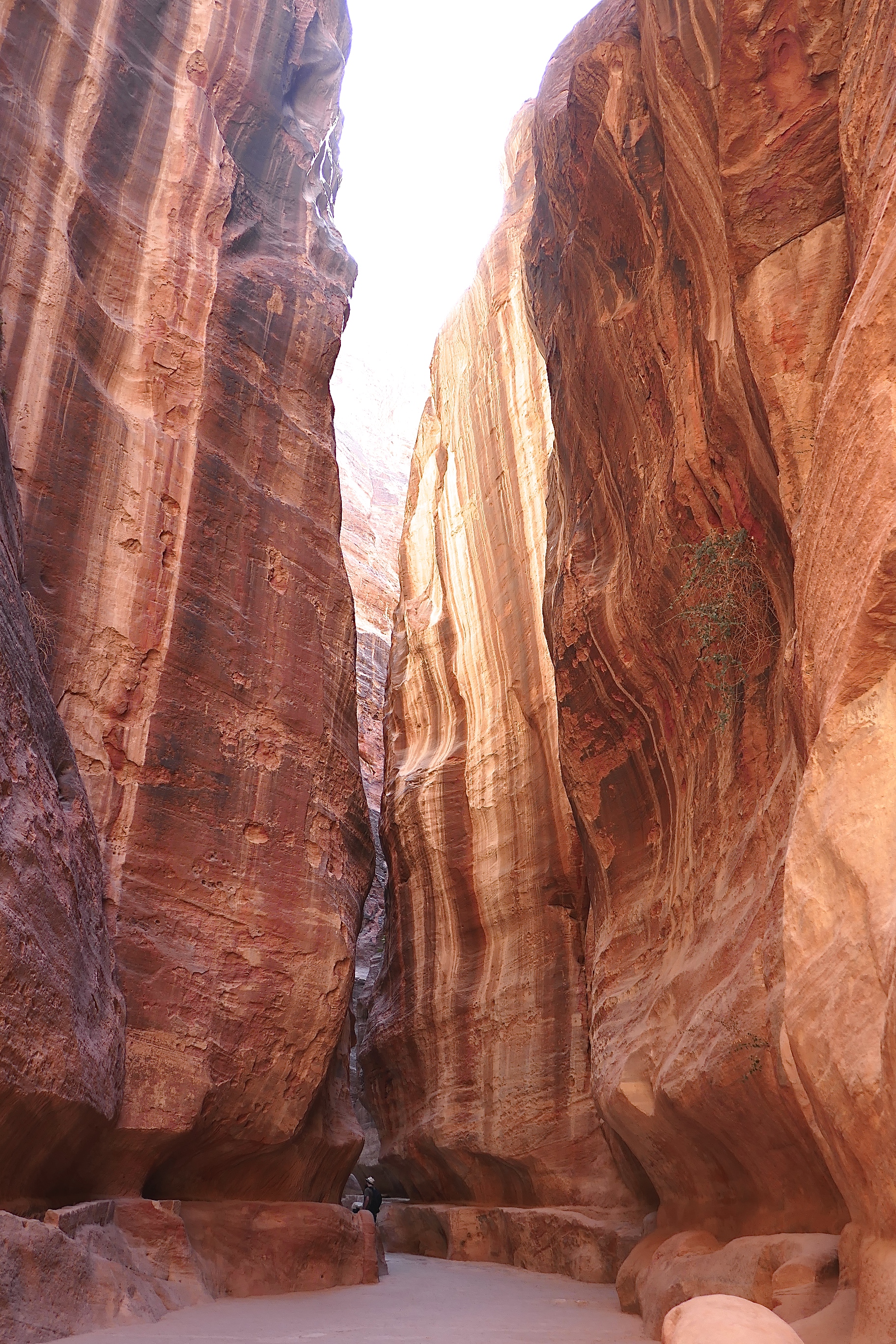 Siq, Petra, Jordan