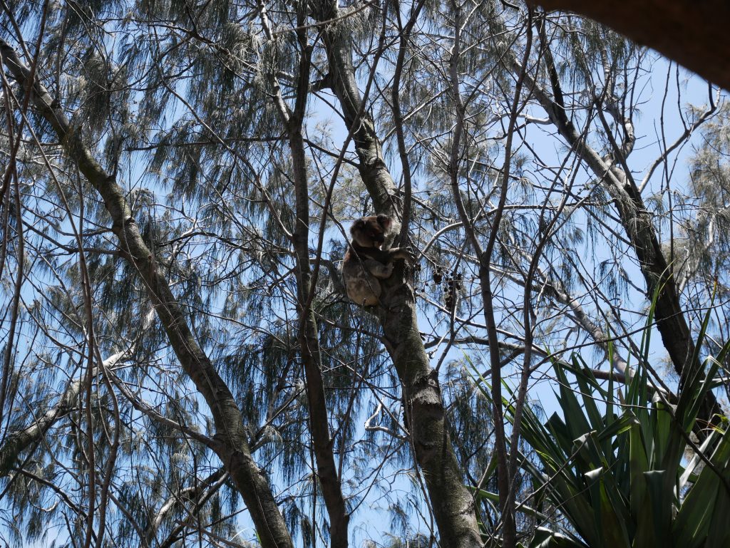 North Stradbroke Island