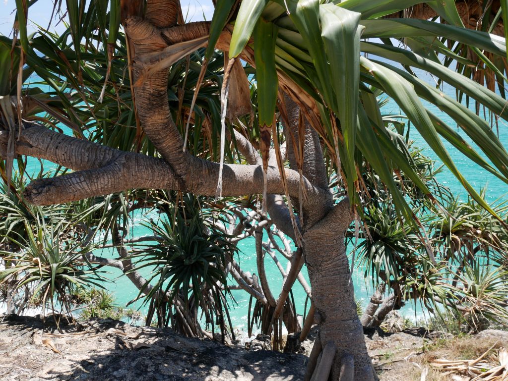 North Stradbroke Island 