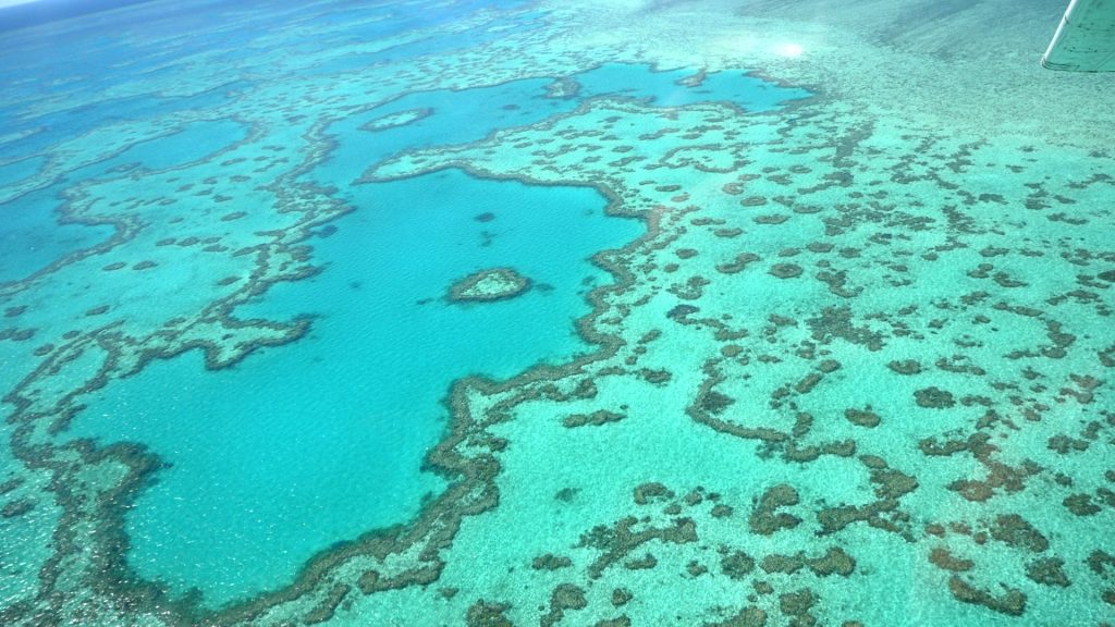 The Heart of The Great Barrier Reef GSL Aviation Scenic Flight