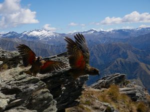 QUEENSTOWN