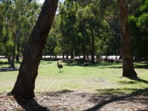 Grampians national park