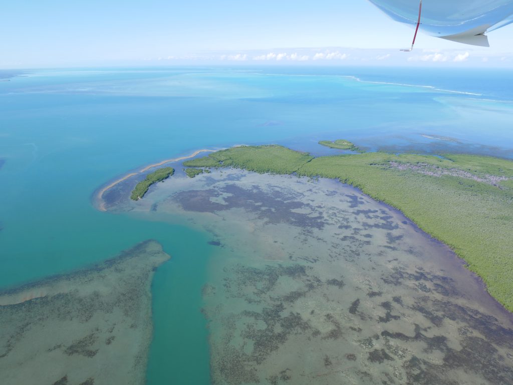 vol ulm caledonie