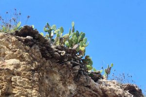 Puerto Vallarta, Sortie Voilier aux Las Marietas