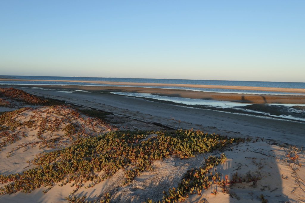 dreamkite dakhla