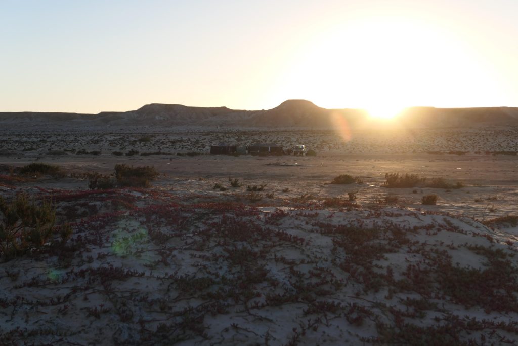 dreamkite dakhla